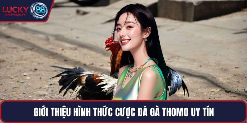 Giới thiệu hình thức cược đá gà Thomo uy tín
